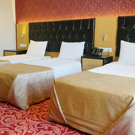 Hotel Vois 4*